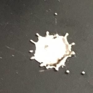 Meet your Posher, Donyeill